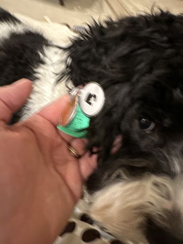 Customer photo review of White