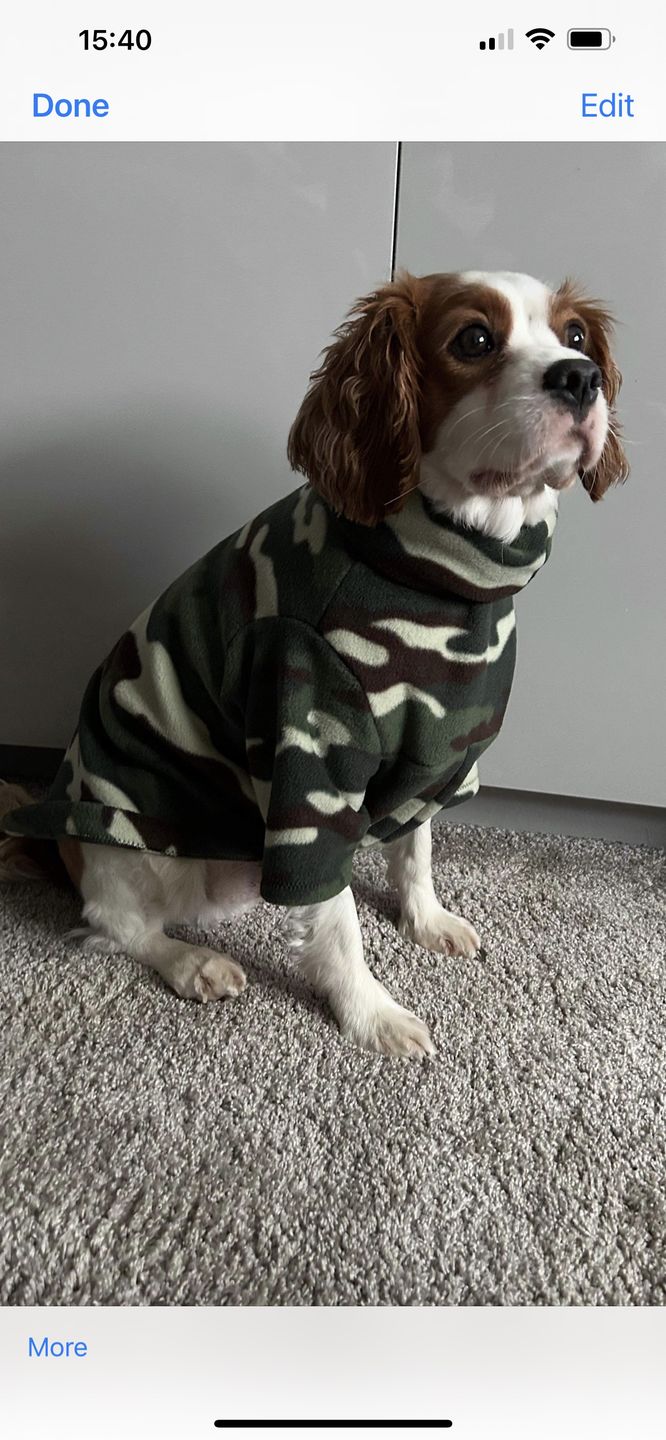 Customer photo review of Tiger Anti Pill Polar Fleece Fabric