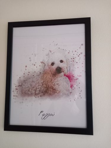 Customer photo review of Πορτραίτο Κατοικίδιου - Ακουαρέλα