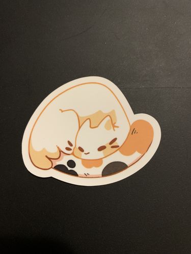 Customer photo review of Cute Ghost Cat Stickers!