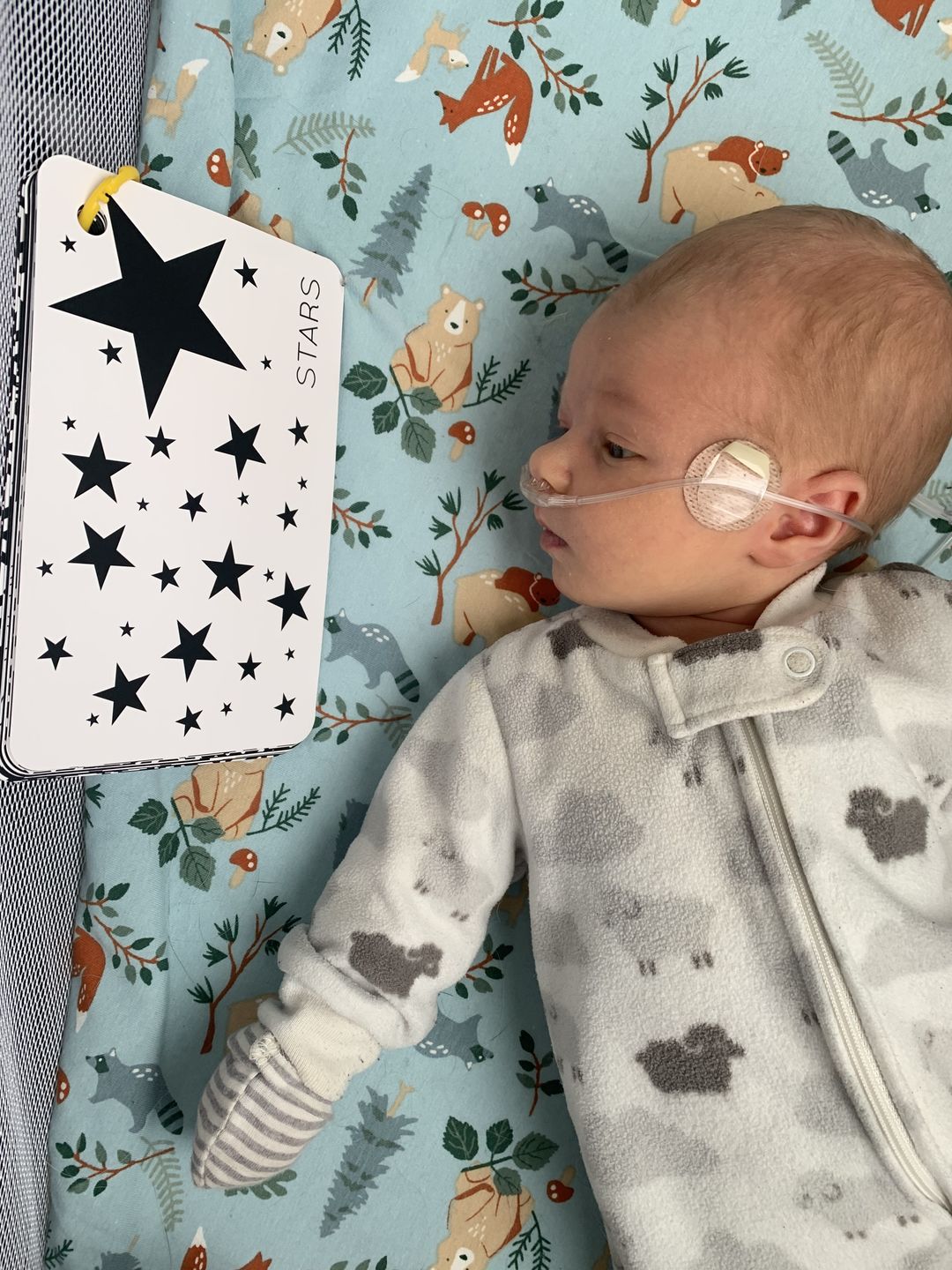 Customer photo review of Expansion Pack: High-Contrast Infant Vision Development Cards