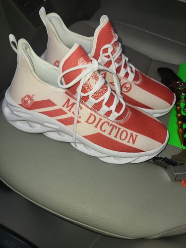 Customer photo review of Sorority Footwear - Personalized Delta Sigma Theta Stripe Style Clunky Sneakers