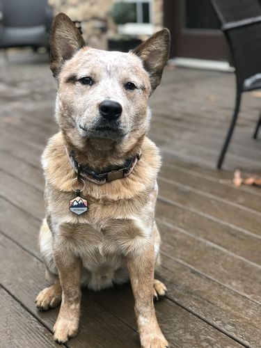 Customer photo review of Explorer Silicone