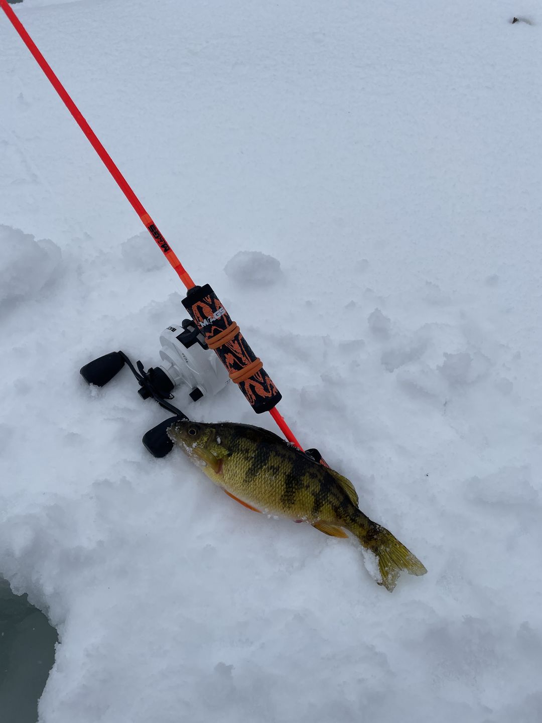 Customer photo review of Pre-Built Power Noodle