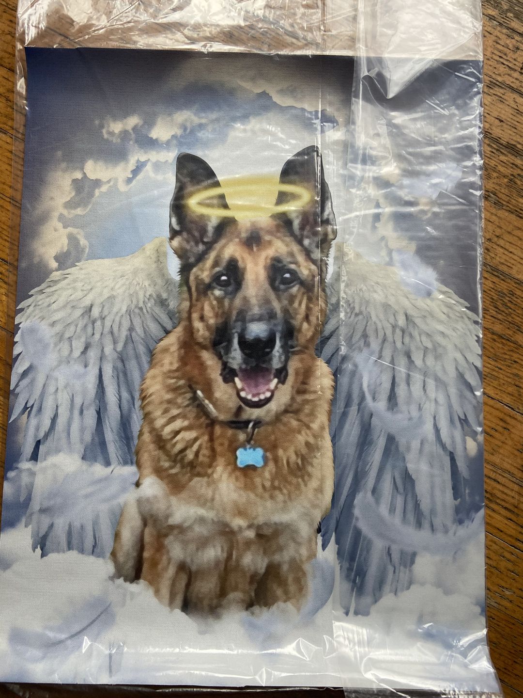 Customer photo review of Custom Pet Art Canvas Wrap