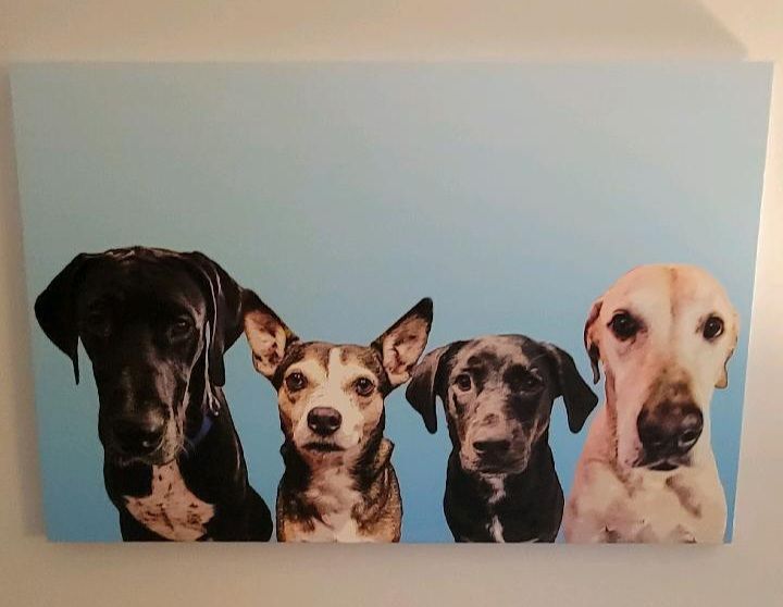 Customer photo review of Custom Pet Art Canvas Wrap