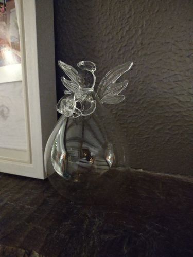 Customer photo review of Mon grand ange gardien
