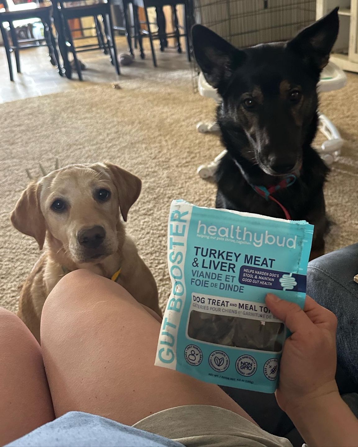 Customer photo review of Turkey Gut Booster