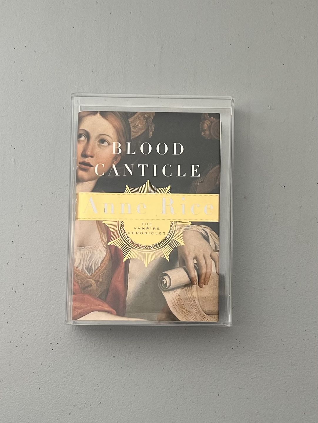 Customer photo review of Acrylic Book Display Cases – Better Display Cases