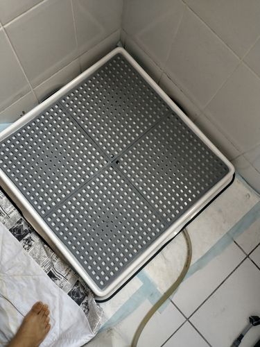 Customer photo review of Weasy Cão