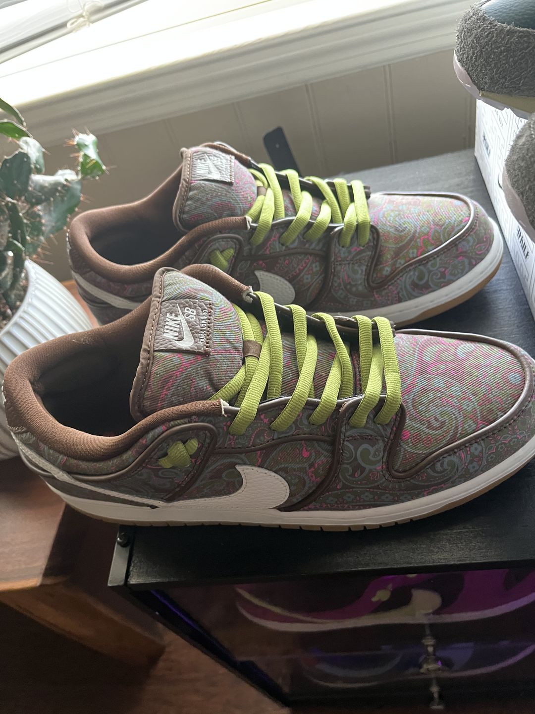 Customer photo review of Thick Oval Shoe Laces (Nike SB Laces)