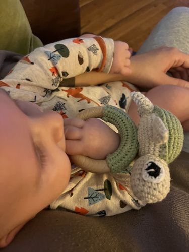 Customer photo review of Crush the Sea Turtle