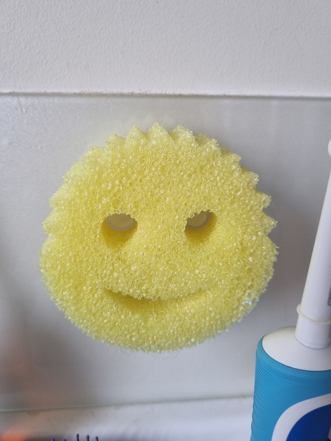 Customer photo review of Scrub Daddy Caddy