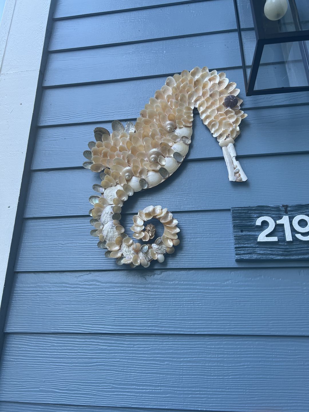 Customer photo review of Unfinished Wood Starfish Sea Star Shape - Craft - up to 36" DIY