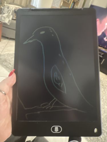 Customer photo review of LCD Writing & Drawing Pad