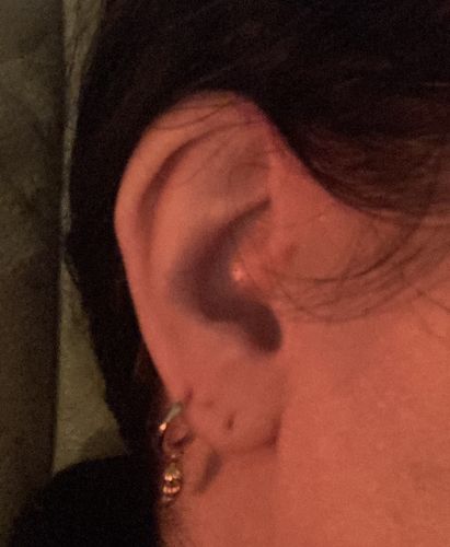 Customer photo review of Wing Earring (Gold)