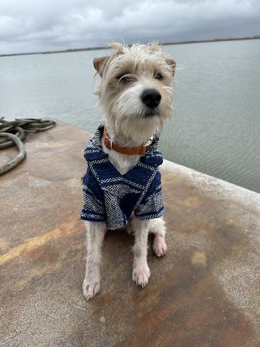 Customer photo review of Playa Poncho - Surprise Color