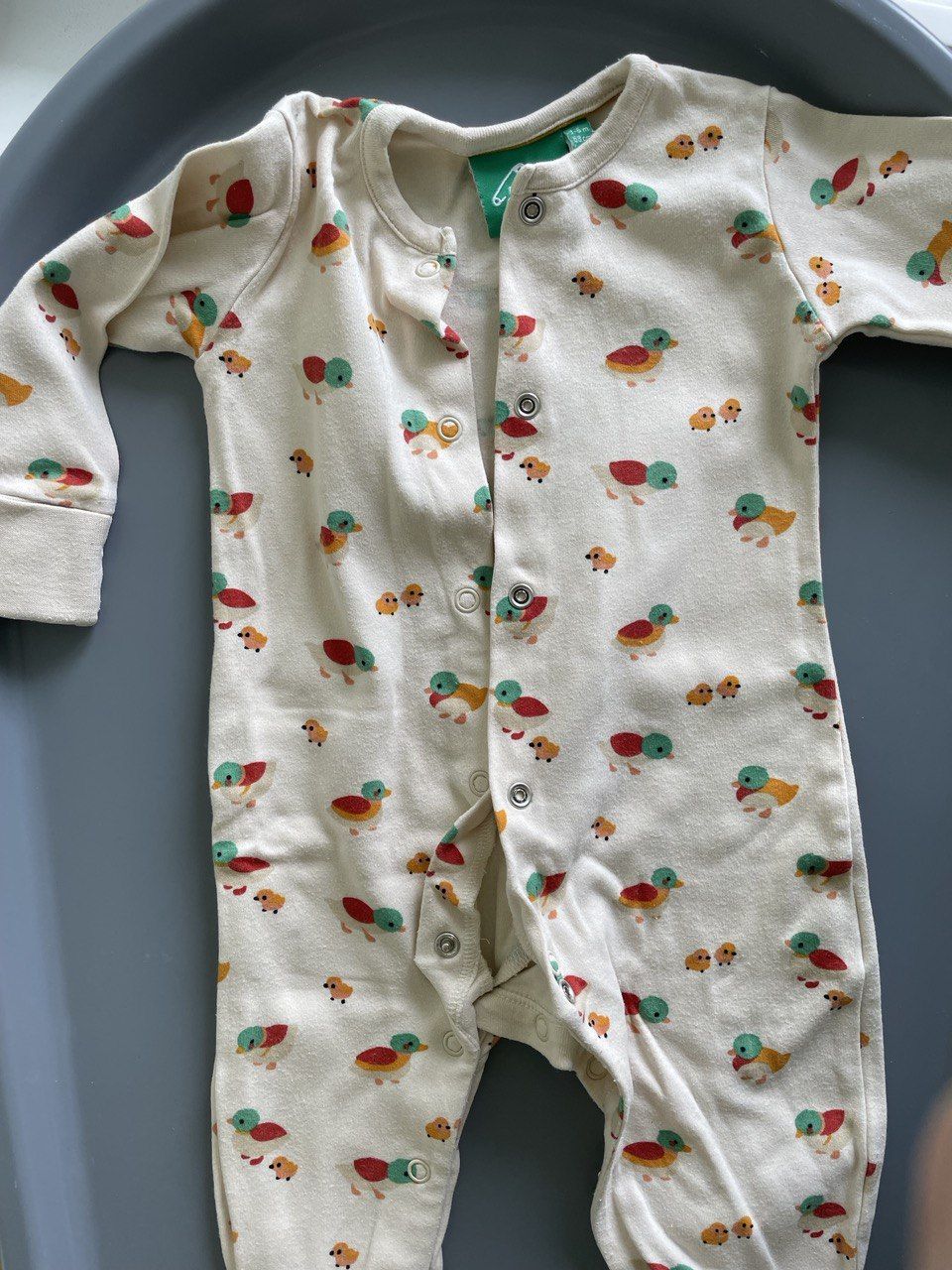 Customer photo review of Weather For Ducks Organic Babygrow