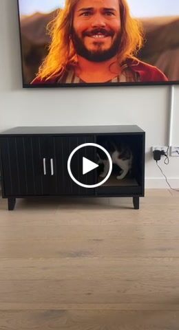 Customer video review of PaWz Enclosed Hooded Cat Litter Box Furniture House