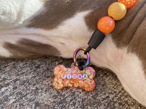 Customer photo review of Orange Pet Tag