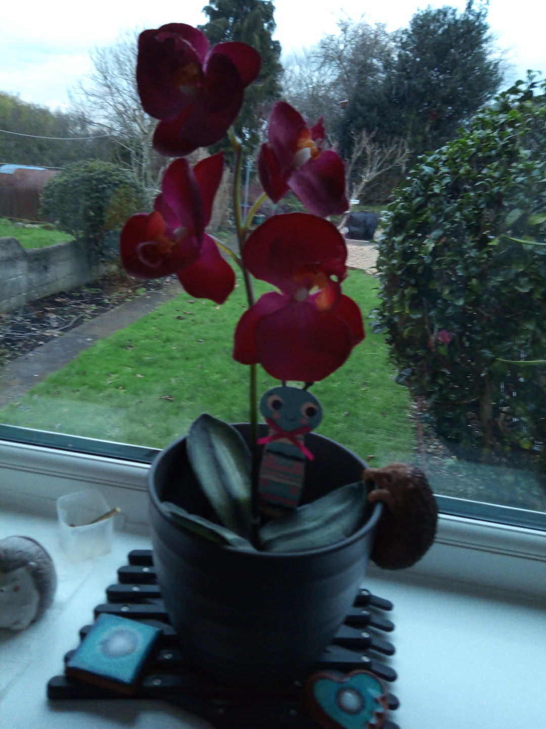 Customer photo review of Brown Hedgehog Pot Hanger