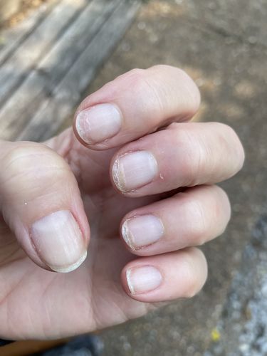 Customer photo review of The System Super Bundle