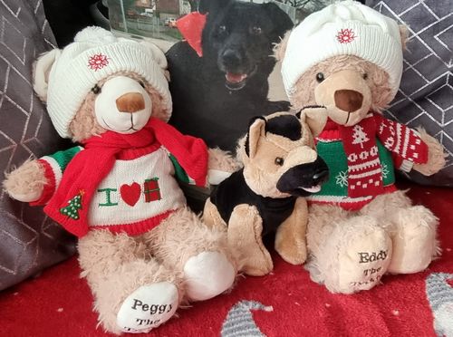 Customer photo review of Limited Edition Christmas Eddy & Peggy