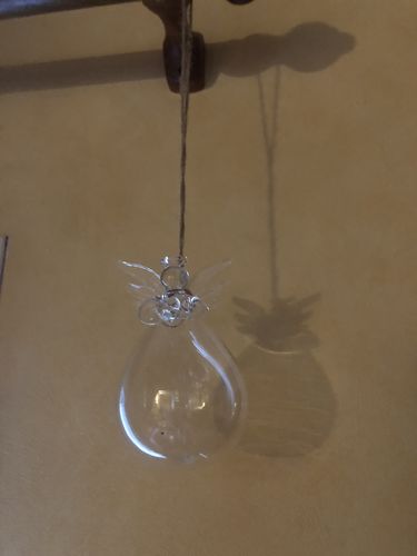 Customer photo review of Mon grand ange gardien