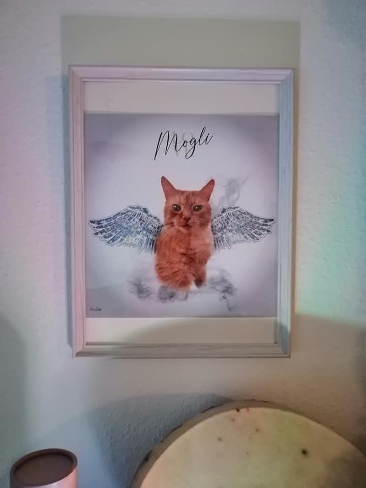 Customer photo review of Personalisiertes Portrait - Diamant Engel Stil