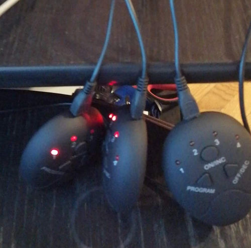 Customer photo review of deinHoola - EMS Trainer