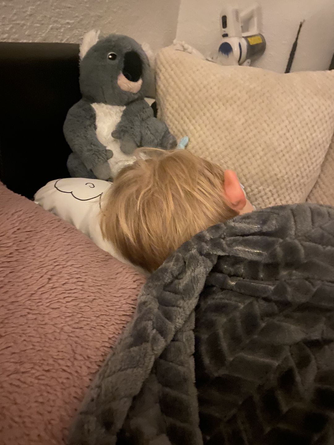 Customer photo review of BABYKISSEN CLASSY TWO