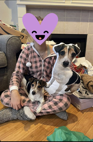 Customer photo review of Create A Custom Dog Pillow