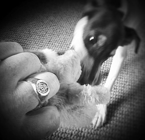 Customer photo review of The Cowboy