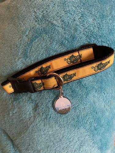 Customer photo review of Explorer