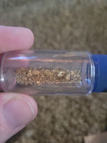 Customer photo review of Nugget Reserve 'MUSEUM SPECIMEN CHASE' - Gold Panning Paydirt Concentrate