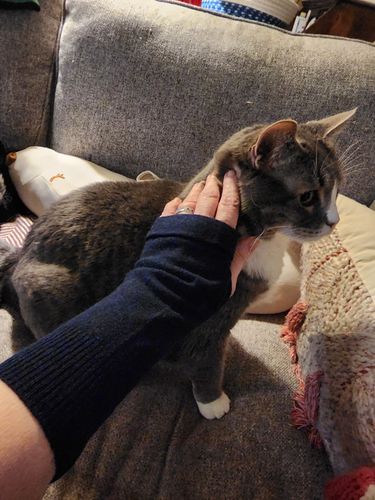 Customer photo review of Navy - Fingerless Cashmere Gloves, Hand & Arm Warmers