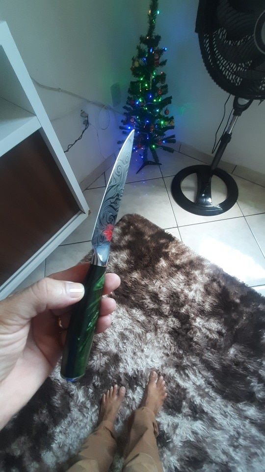 Customer photo review of Wasabi Collection — Japanese High-Carbon Steel Knife Set with Green Resin Handles