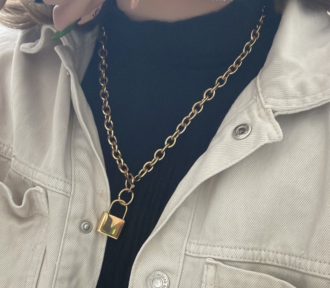 Customer photo review of Collar Candado