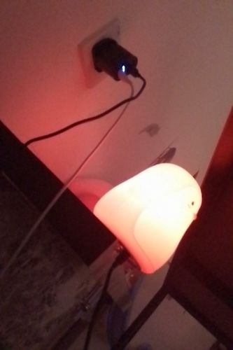 Customer photo review of Penny Penguin Night Light