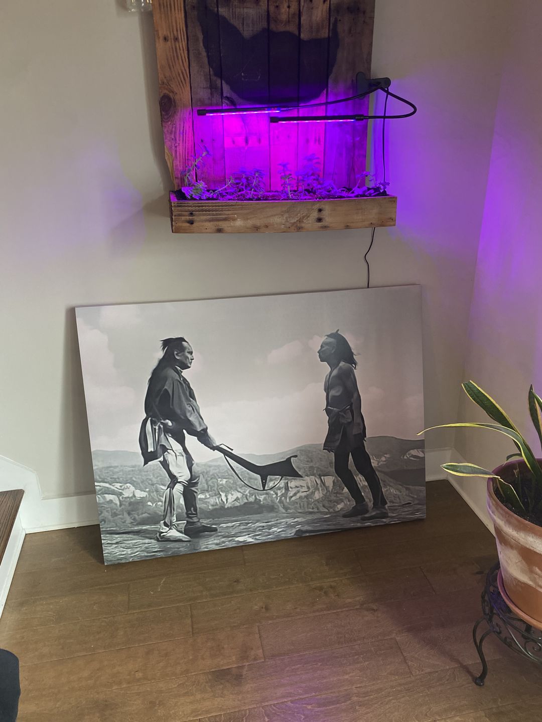 Customer photo review of Last of the Mohicans Wall Art