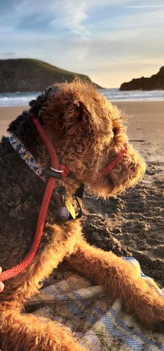 Customer photo review of Explorer