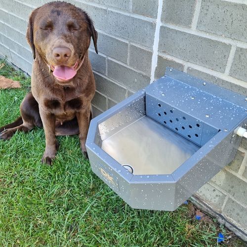 Customer photo review of Powdercoated Pet Rehydration Station (Standard)