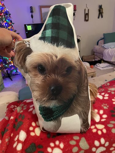 Customer photo review of Create A Custom Dog Pillow