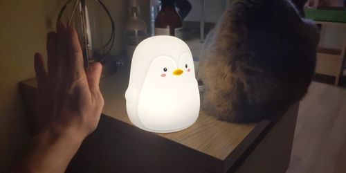 Customer photo review of Penny Penguin Night Light