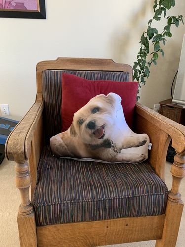 Customer photo review of Create A Custom Dog Pillow