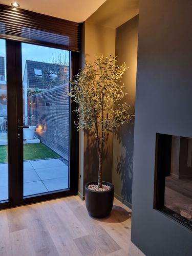 Customer photo review of Kunst Olijfboom 180cm