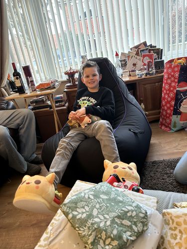 Customer photo review of Classic Bean Bag - Dragon Skin