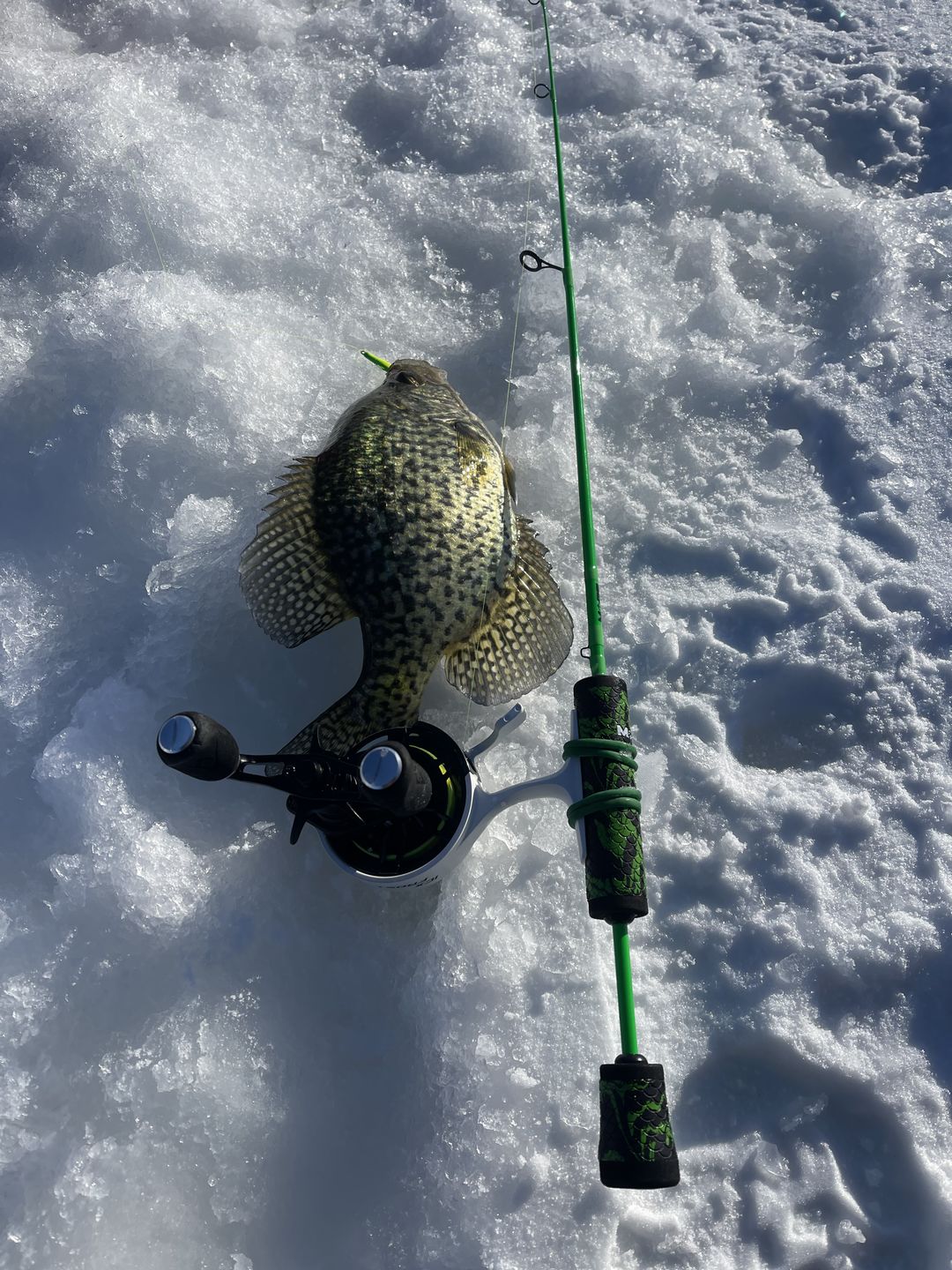 Customer photo review of Pre-Built Power Noodle