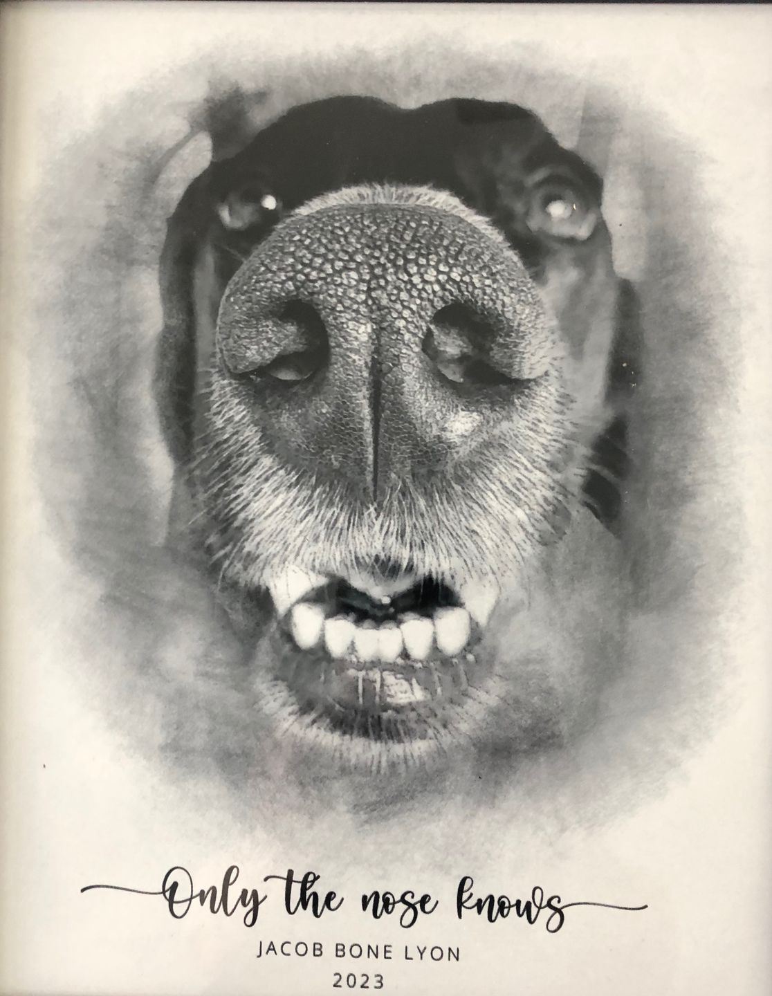 Customer photo review of Custom Pet Portrait