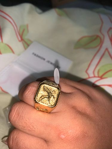 Customer photo review of Men’s Black Falcon Ring